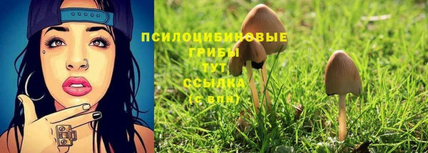 тгк Алексеевка